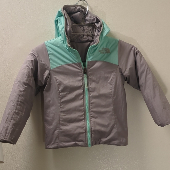 The North Face Mint and Gray Fleece Jacket - Picture 6 of 12